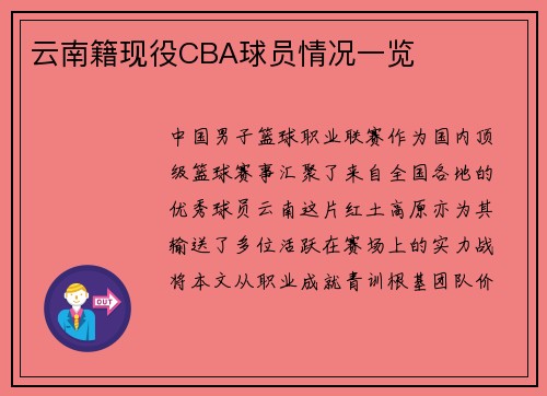 云南籍现役CBA球员情况一览